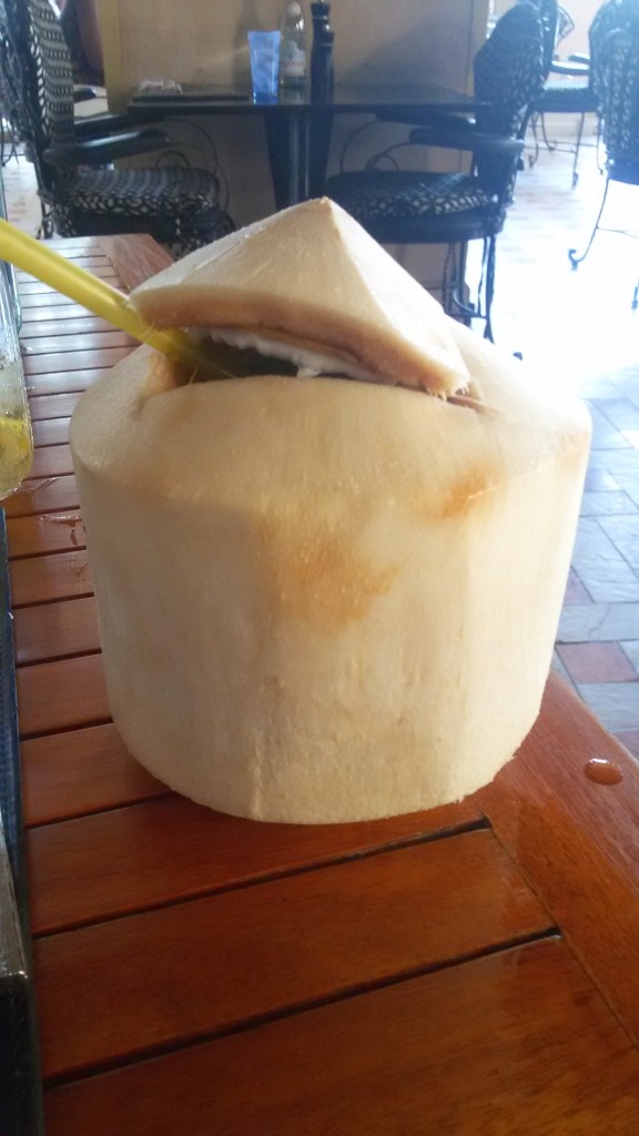 Fresh Coconut Rum Cocktail