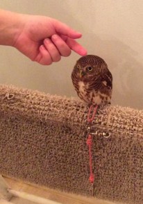 11911618_10155998920590473_2055993660_n_edit