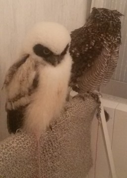 20150816_181521_edit