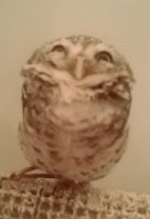 20150816_181731_edit