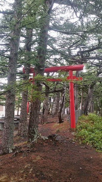 20150820_114146_Richtone(HDR)