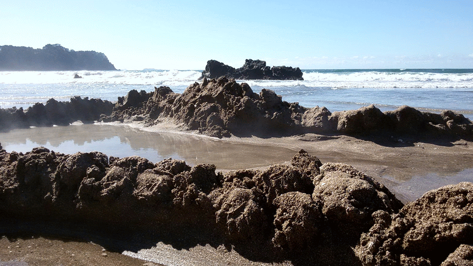 20160818_131034_3-animation