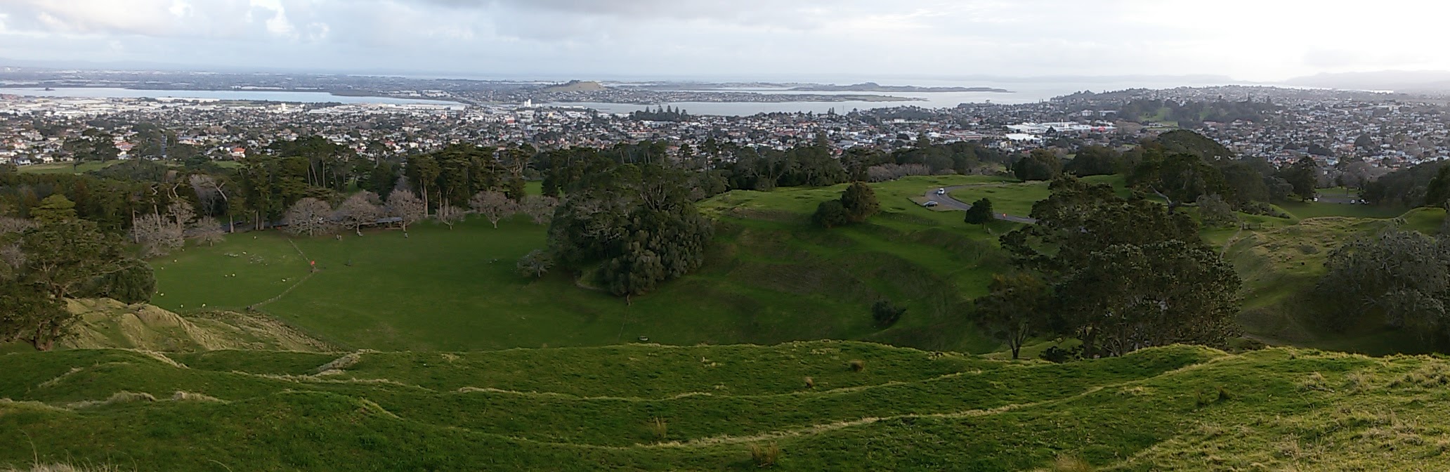 20160823_170847 (1).jpg