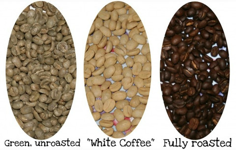 whitecoffeeroast