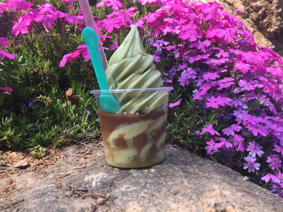 18195080_10101177909332080_7560252973513082033_n