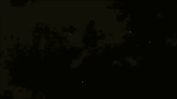 ezgif.com-video-to-gif